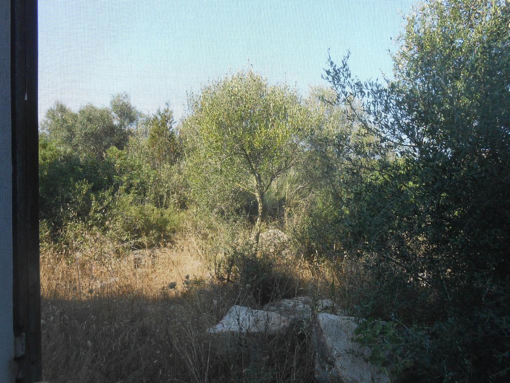 Hotel Agriturismo Tupei Calasetta Pokoj fotografie